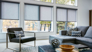 Roller Blind VS Vertical Blind