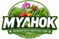 MYAHOK