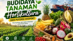 Budidaya Tanaman Hortikultura dan Potensi Ekspor: Peluang Besar dari Lahan Indonesia
