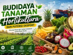 Budidaya Tanaman Hortikultura dan Potensi Ekspor: Peluang Besar dari Lahan Indonesia