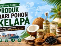 Peluang Ekspor Produk dari Pohon Kelapa: Dari Buah hingga Sabut, Semua Bisa Menghasilkan Devisa