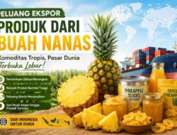 Peluang Ekspor Produk dari Tanaman Buah Nanas, Komoditas Tropis yang Semakin Diminati Dunia