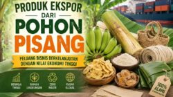 Produk Ekspor dari Pohon Pisang: Peluang Bisnis Bernilai Tinggi yang Masih Terbuka Lebar