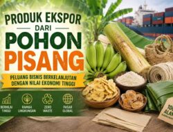 Produk Ekspor dari Pohon Pisang: Peluang Bisnis Bernilai Tinggi yang Masih Terbuka Lebar