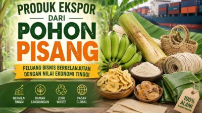 Produk Ekspor dari Pohon Pisang: Peluang Bisnis Bernilai Tinggi yang Masih Terbuka Lebar
