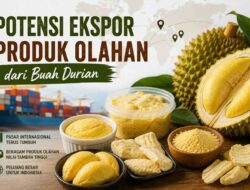 Potensi Ekspor Produk Olahan Durian