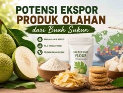 Potensi Ekspor Produk Olahan dari Buah Sukun