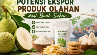 Potensi Ekspor Produk Olahan dari Buah Sukun
